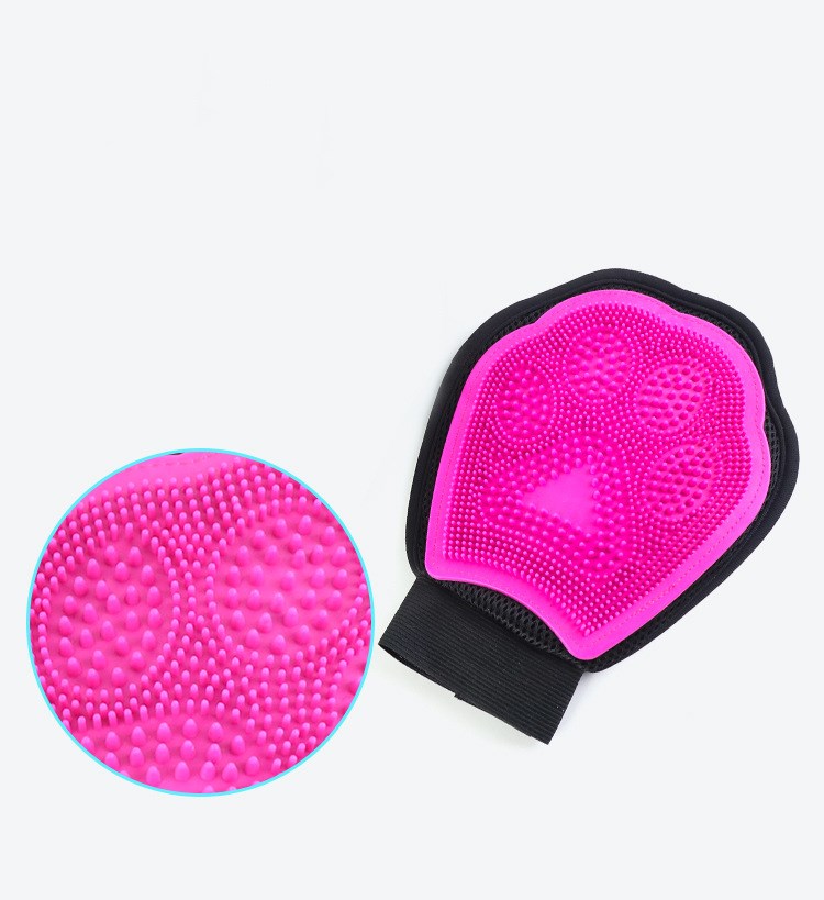 Brosse de bain pour chien