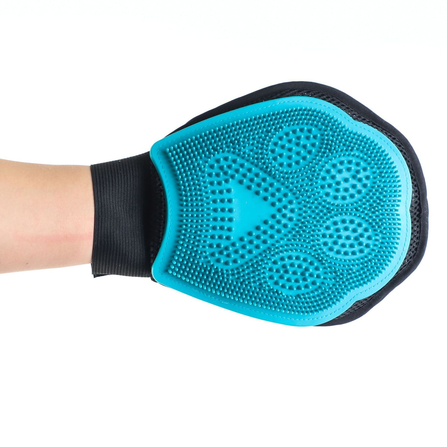 Brosse de bain pour chien