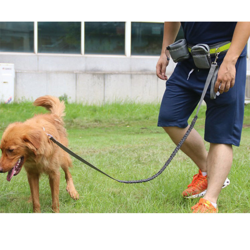 Laisse pour chien mains libres réglable